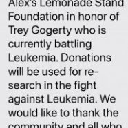 Alex’s Lemonade Stand